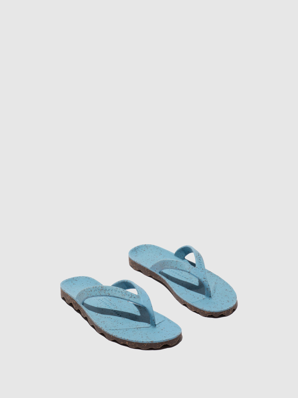 Thong Flip-Flops EARTH SKY/BROWN